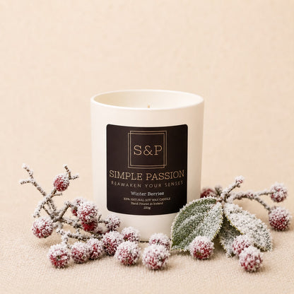Winter Berries